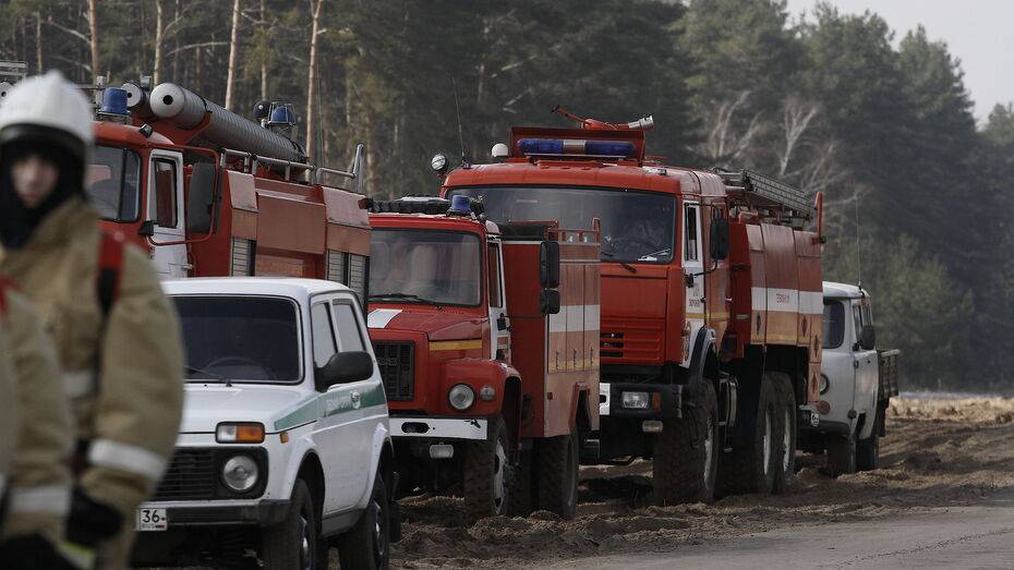 В Воронеже за 7 месяцев 2021 года произошло 634 пожара
