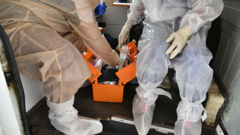 С начала пандемии в Воронежской области от COVID-19 умерли более 90 человек