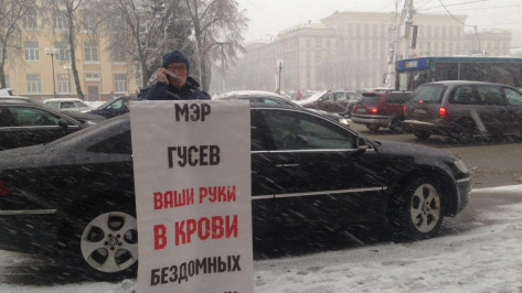 Воронежский зоозащитник провел одиночный пикет у мэрии