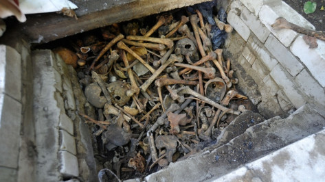 Житель Воронежской области ответит в суде за убийство и сожжение приятеля