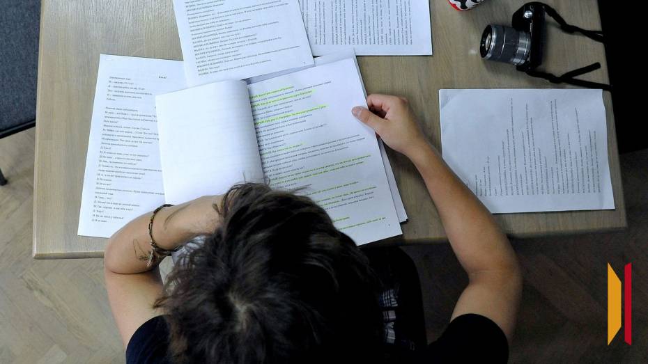 «Дети все равно найдут, где списать»: что думают воронежцы о блокировке сайтов с ГДЗ