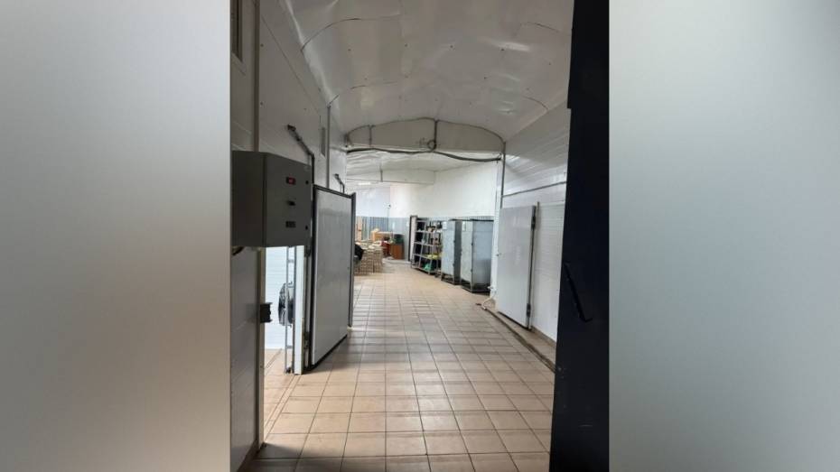 Под Воронежем на продажу выставили производство рыбных снеков за 19,5 млн рублей