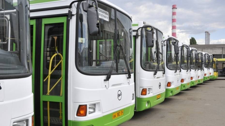 В Вербное воскресенье в Воронеже запустят дополнительные автобусы до кладбищ