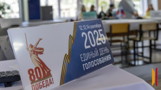 Более 250 тыс избирателей приняли участие в выборах депутатов Воронежской облдумы и в органы местного самоуправления