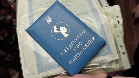 «Народные республики» заплатят пособия украинским переселенцам в Воронежской области