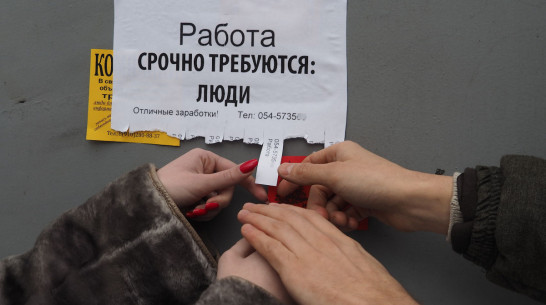 В Воронежской области уменьшилось количество безработных