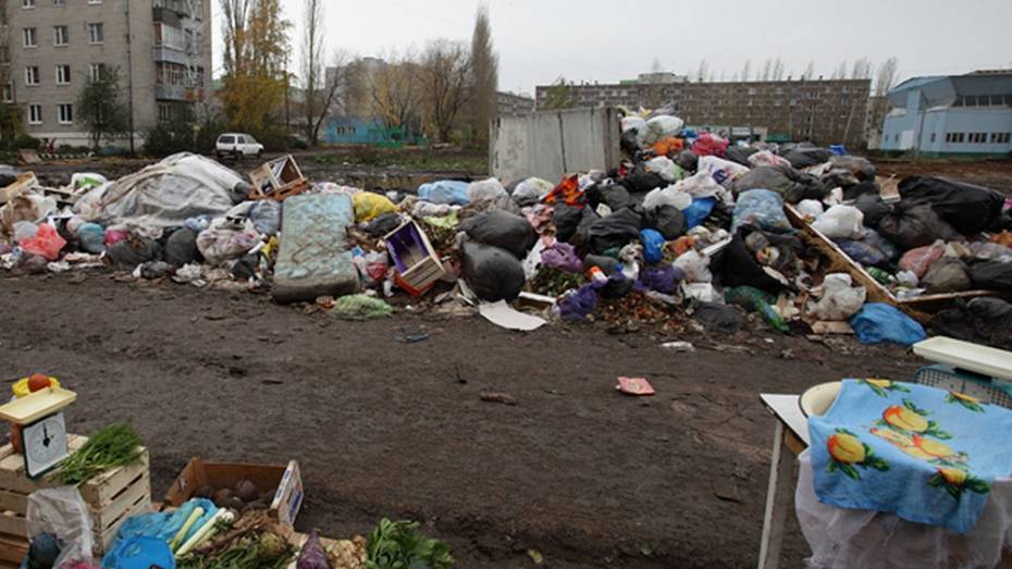 Экологи избавили Воронежскую область от 280 свалок за 1,5 года