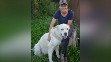 Мишка из Мариуполя. Воронежцы помогли алабаю из зоны СВО обрести новую семью