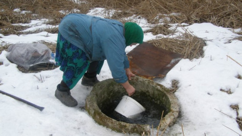 Жители села Михнево Нижнедевицкого района вынуждены пить воду из ручья