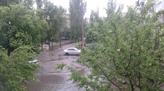 В Павловском районе за сутки выпала месячная норма осадков