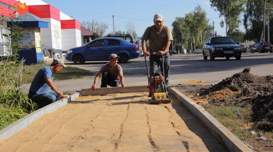 В Каменке на строительство тротуаров направят более 2 млн рублей