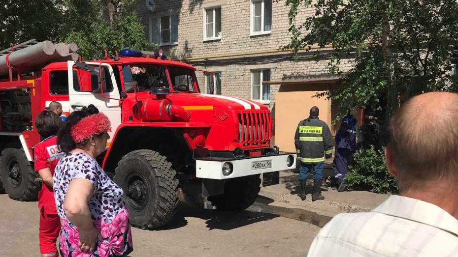 В Воронеже при пожаре в квартире погибли 71-летний инвалид и его собака