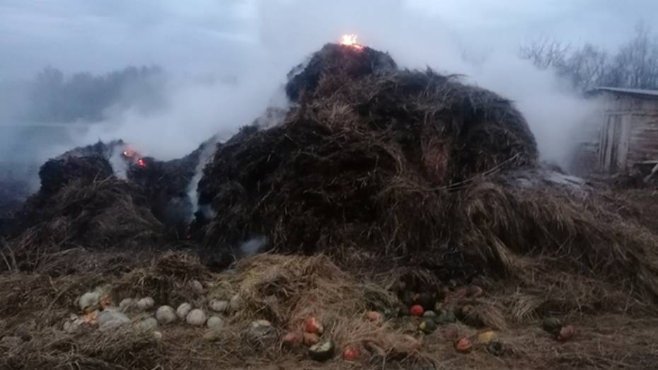 В бобровском селе Семено-Александровка на приусадебном участке сгорело 30 тюков сена