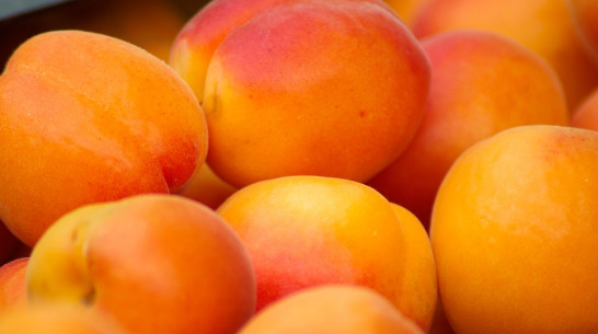 Под Воронежем уничтожили 200 кг санкционных абрикосов