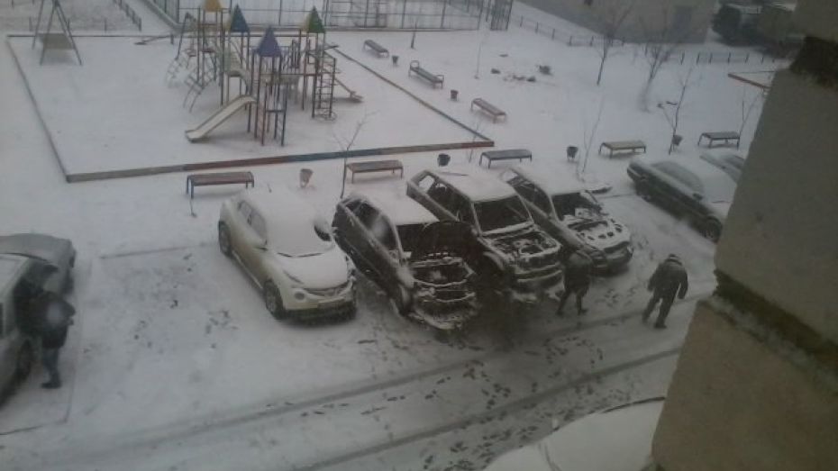 Полиция: автомобили в Северном микрорайоне Воронежа сгорели из-за поджога