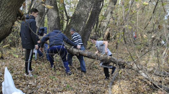 Лискинские волонтеры очистили территорию у малой речки Тормосовки 