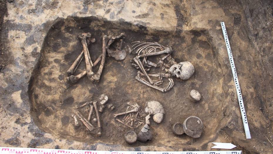 В Воронежской области археологи нашли 28 древних погребений
