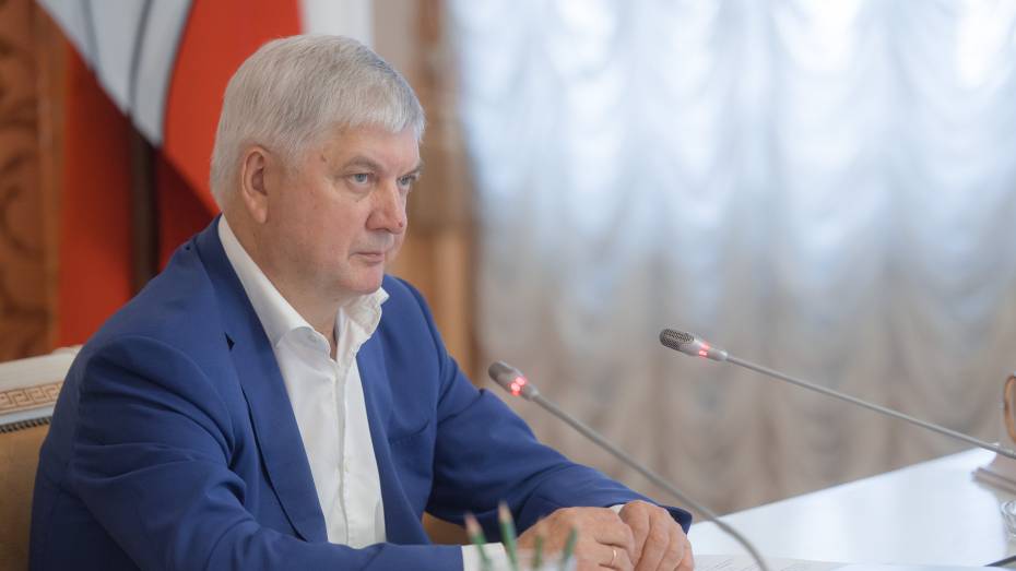 Воронежский губернатор: усилим контроль со стороны ДПС и увеличим количество камер видеонаблюдения на дорогах