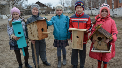 Ученики россошанской школы смастерили 10 домиков для птиц 