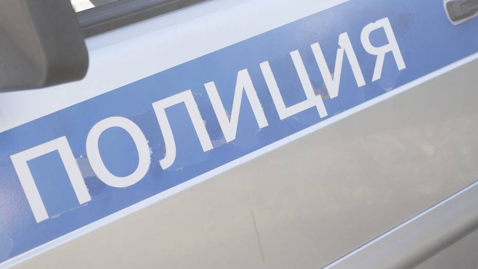 Под Воронежем 2 человека пострадали при столкновении автомобиля и гужевой повозки 