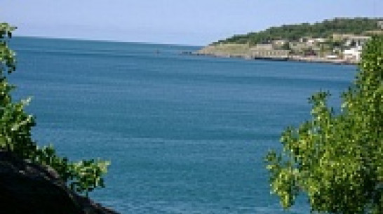 Более тысячи воронежских детей отдохнут летом в Крыму