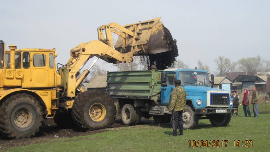 Общественники нижнедевицкого села убрали около 30 т бытовых отходов