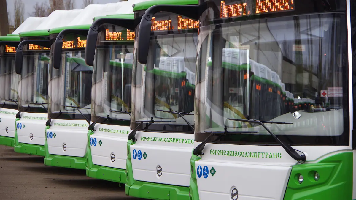 Авторы новой маршрутной сети в Воронеже займутся улучшением транспорта в  области