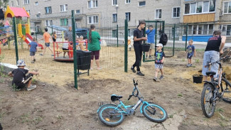 В поселке Подгоренский общественники обновили детскую площадку на средства областного гранта