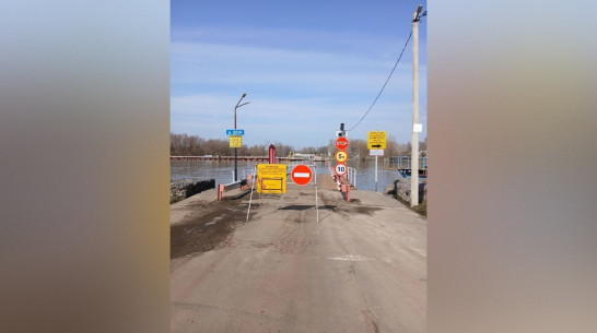 В Воронежской области снова сняли понтонный мост через реку Дон между Верхнемамонским и Россошанским районами