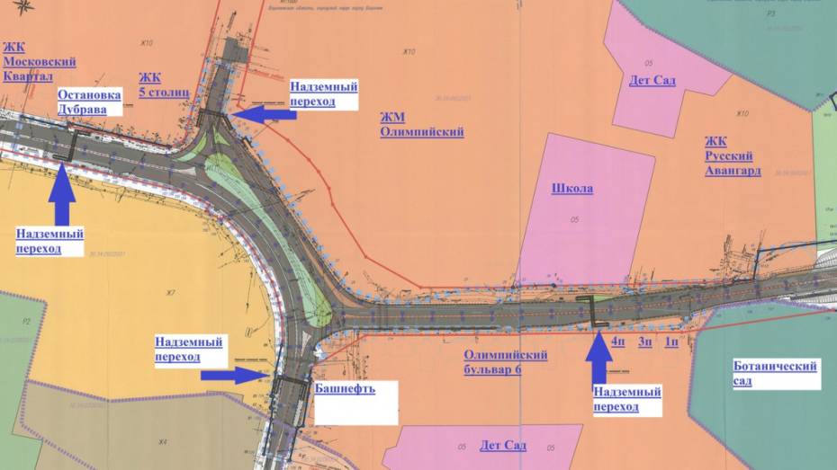 Воронежцы создали петицию против проекта дороги от Шишкова до Тимирязева