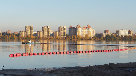 Александр Гусев потребовал расчистить воронежское водохранилище