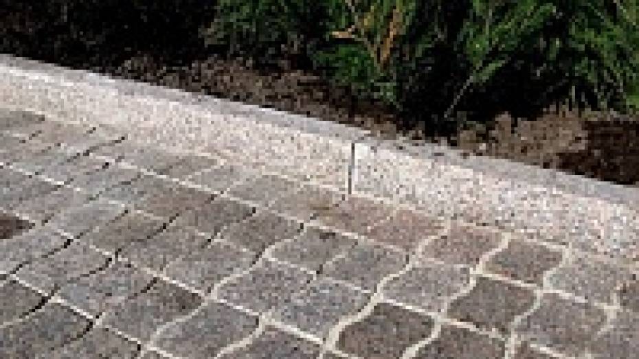 Жительница Воронежа разбилась насмерть, упав с крутой лестницы рядом с домом