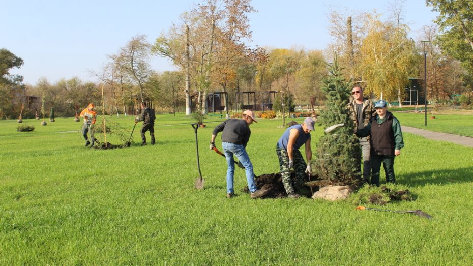 В центральном парке Ольховатки высадили 300 деревьев и кустарников