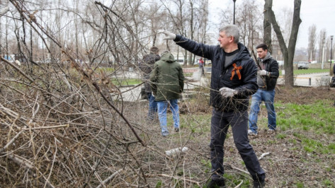 Александр Гусев позвал жителей Воронежской области на субботники