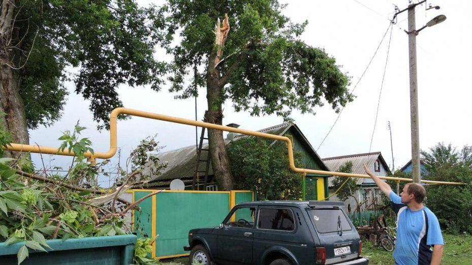 В Воронеже упавшее дерево повредило газопровод на улице Дубовая