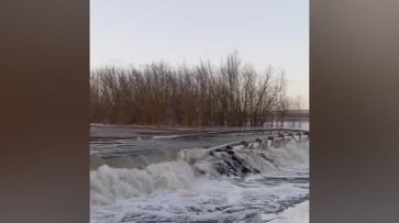 В Острогожском районе Воронежской области из-за подтопления перекрыли дорогу в районе села Криница