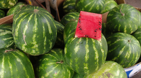 В Воронеже подавившийся арбузом малыш провел 2 дня в коме