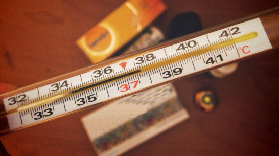 За праздничную неделю в Воронежской области резко снизилась заболеваемость ОРВИ