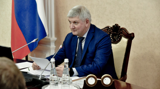 Губернатор Александр Гусев поздравил воронежцев с Днем Конституции