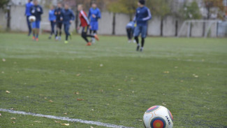 Воронежский «Факел» создал вторую молодежную команду