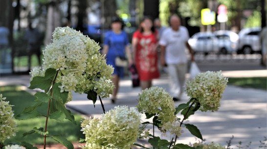 Жаркая погода не задержится в Воронеже на рабочей неделе