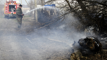 В Воронежской области за день произошло 62 пожара