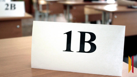 Более 1 тыс медалистов и 47 стобалльников насчитали среди выпускников Воронежа