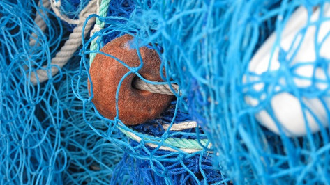 В Семилуках рыбака-браконьера оштрафовали на 2 тыс рублей