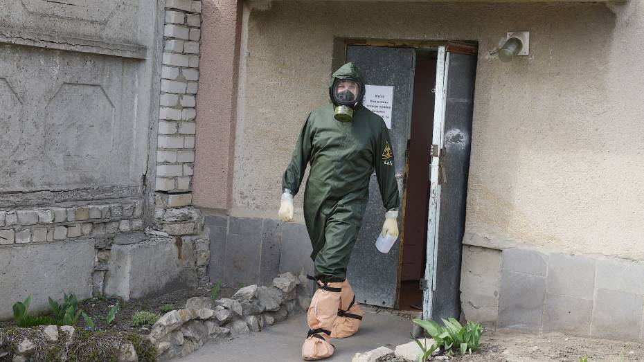 Коронавирус обнаружился еще у 148 человек в Воронежской области