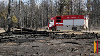 В Воронежской области установлен 3 класс пожарной опасности