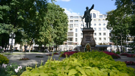 Воронежцев позвали на бесплатный кинопоказ в Петровском сквере