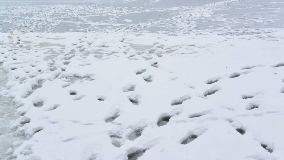 На Воронежском водохранилище провалился под лед и погиб 48-летний рыбак