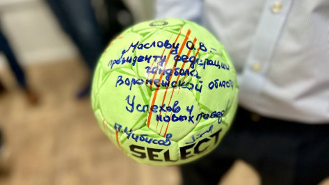 АГРОЭКО выделит около 50 млн рублей на развитие воронежского гандбола