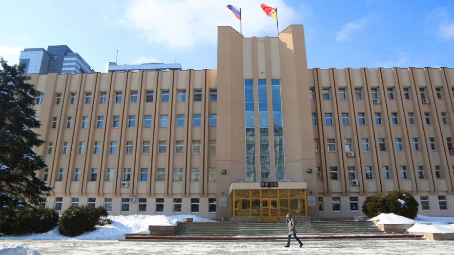 Воронежская облдума озвучила статьи расходов на образование в 2019 году